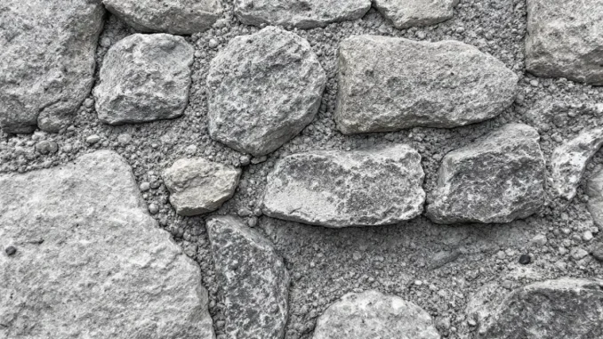 nullite-des-baux-cas